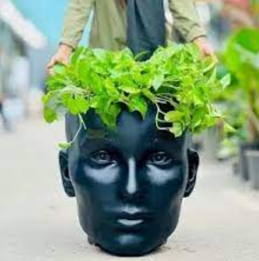 چهره